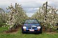 MG Bloesemrit op 24-4-2016 org. Jos&Marie-lou  (260)